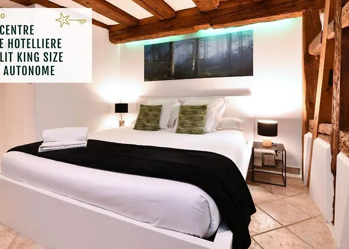 ZEN studio - maison alsacienne - lit KING SIZE
