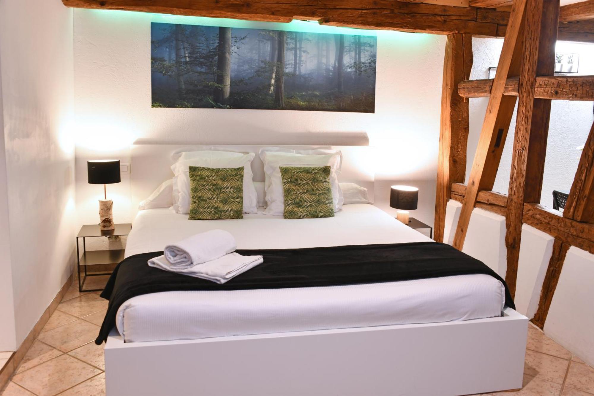 Appartement Zen - Maison Alsacienne - Lit King Size